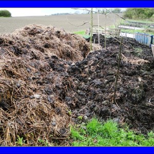Animal Manure Composting