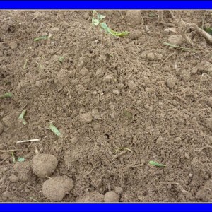 Soil Improvement for Crops, Grass and Fruit Growers