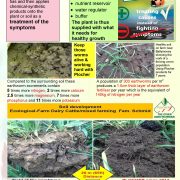 done_deal_Soil_activator_special_leaf_page2